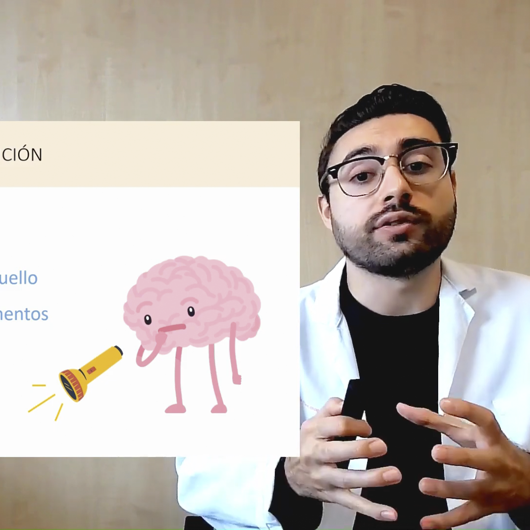 La cognición y sus funciones